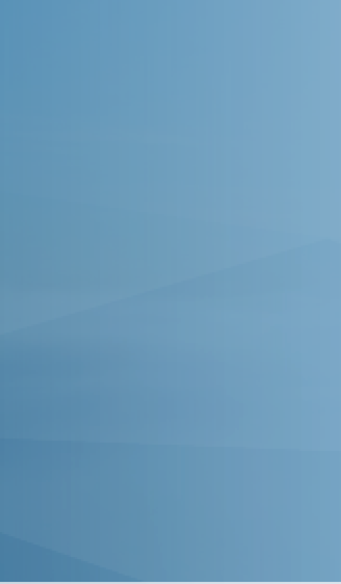 Ein Bild von einem Solardach und Windräder im Hintergrund, sowie bienenfreundliche Blumen im Vordergrund