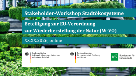 st&auml;dtische &Ouml;kosysteme Bild