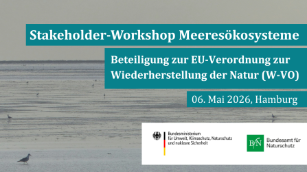 Meeres&ouml;kosysteme